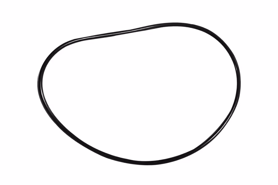 Muncie PTO ORing 12T43185