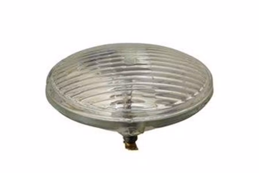 Edison Company Multi-Purpose Light Bulb