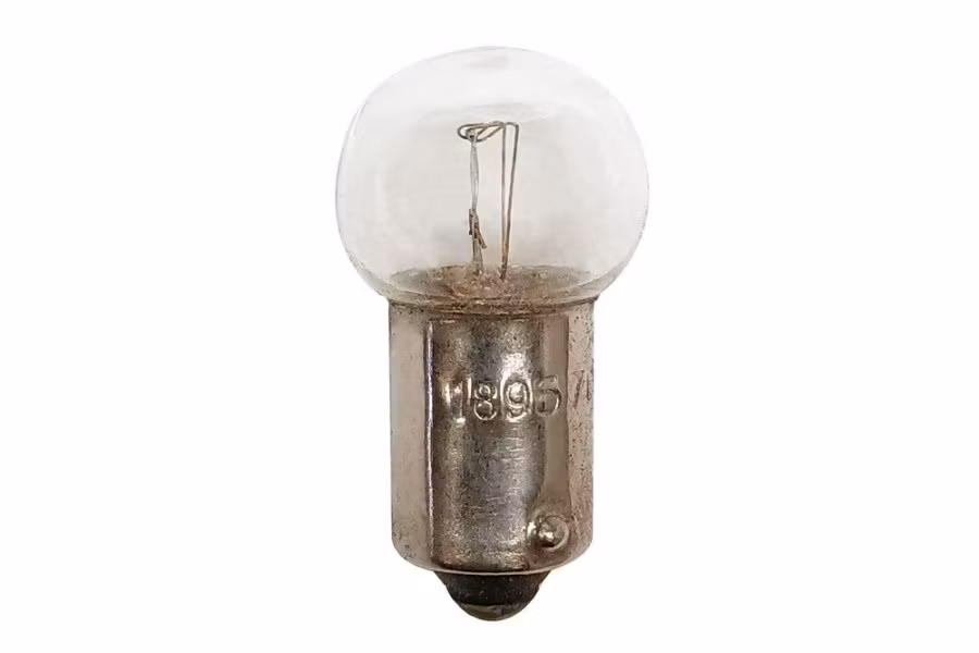 Edison Light Bulb